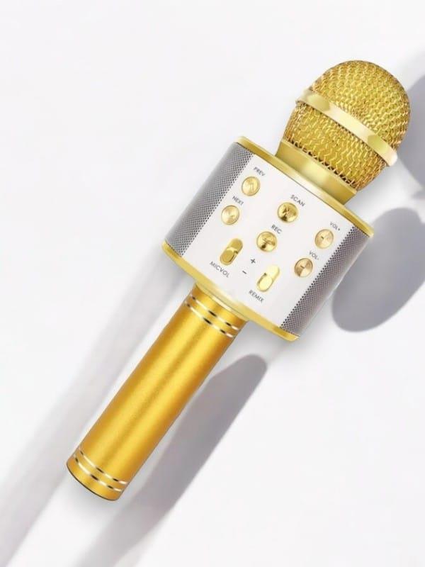 KAREOKE MIKROFON