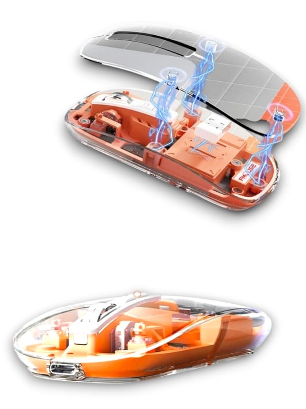 PG-9010 MOUSE FARE