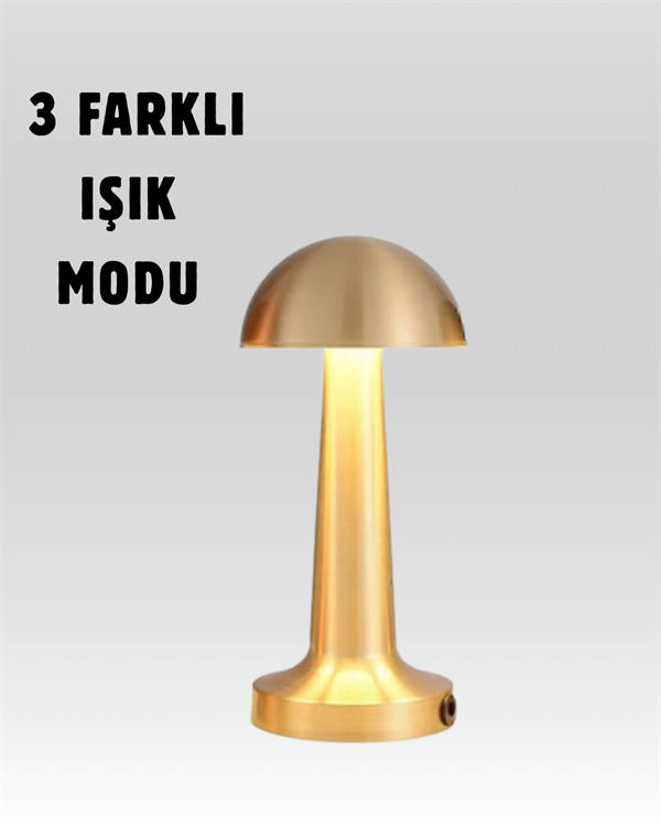 0 Kademeli Ayarlanabilir Işık – USB Şarjlı Masa Lambası