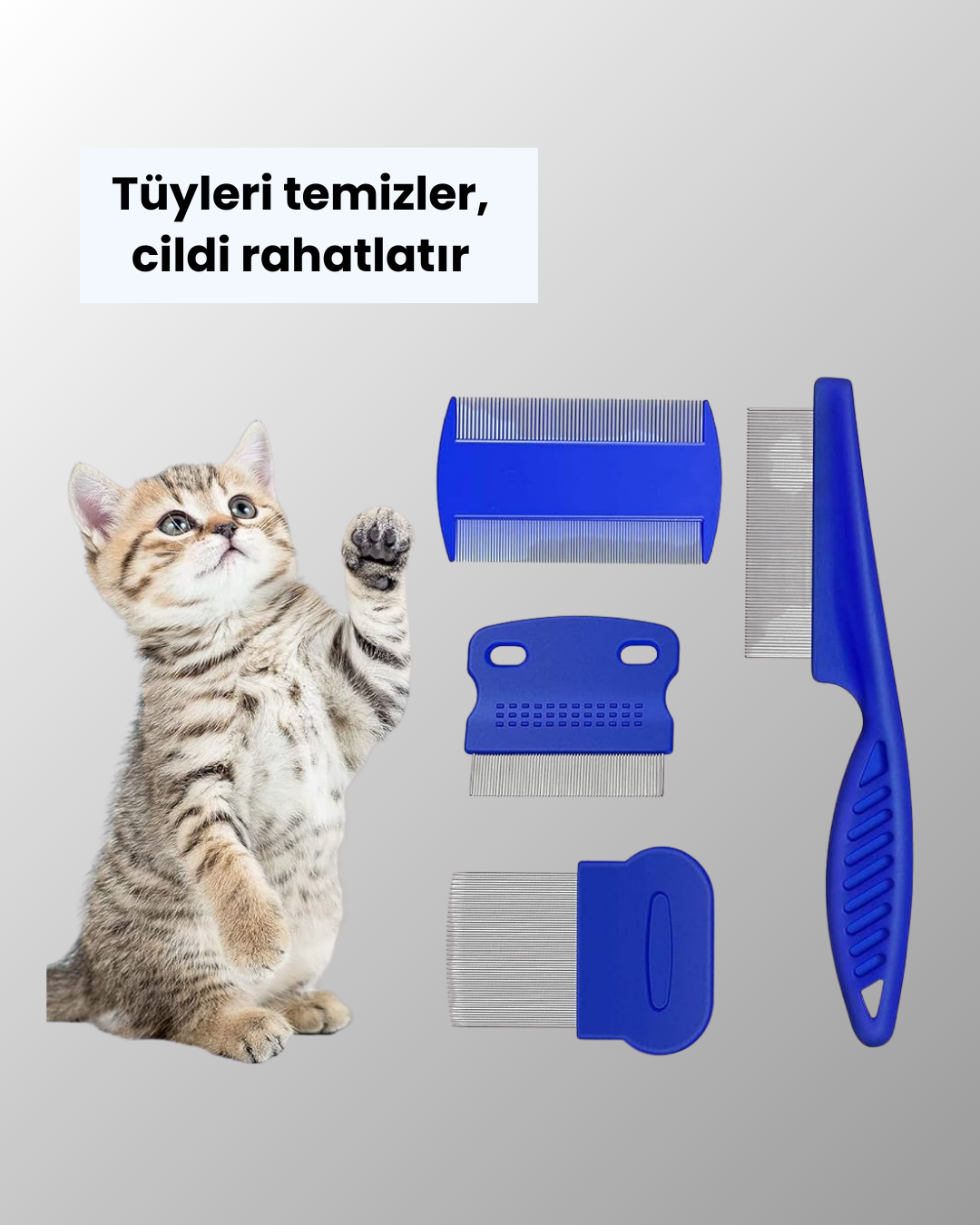 Bit, Pire ve Tüy Temizliğine Uygun Çok Amaçlı Evcil Hayvan Tarağı Seti