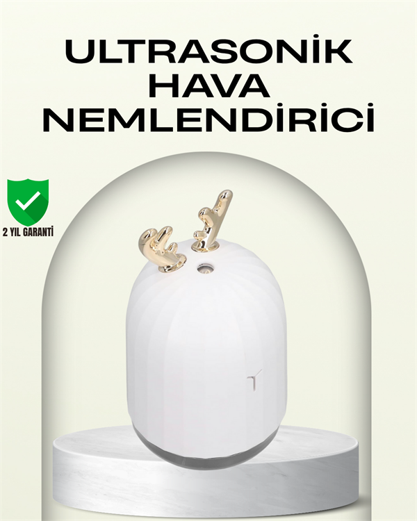 ABS+PP Malzemeli Taşınabilir 220 ml USB Mist Nemlendirici