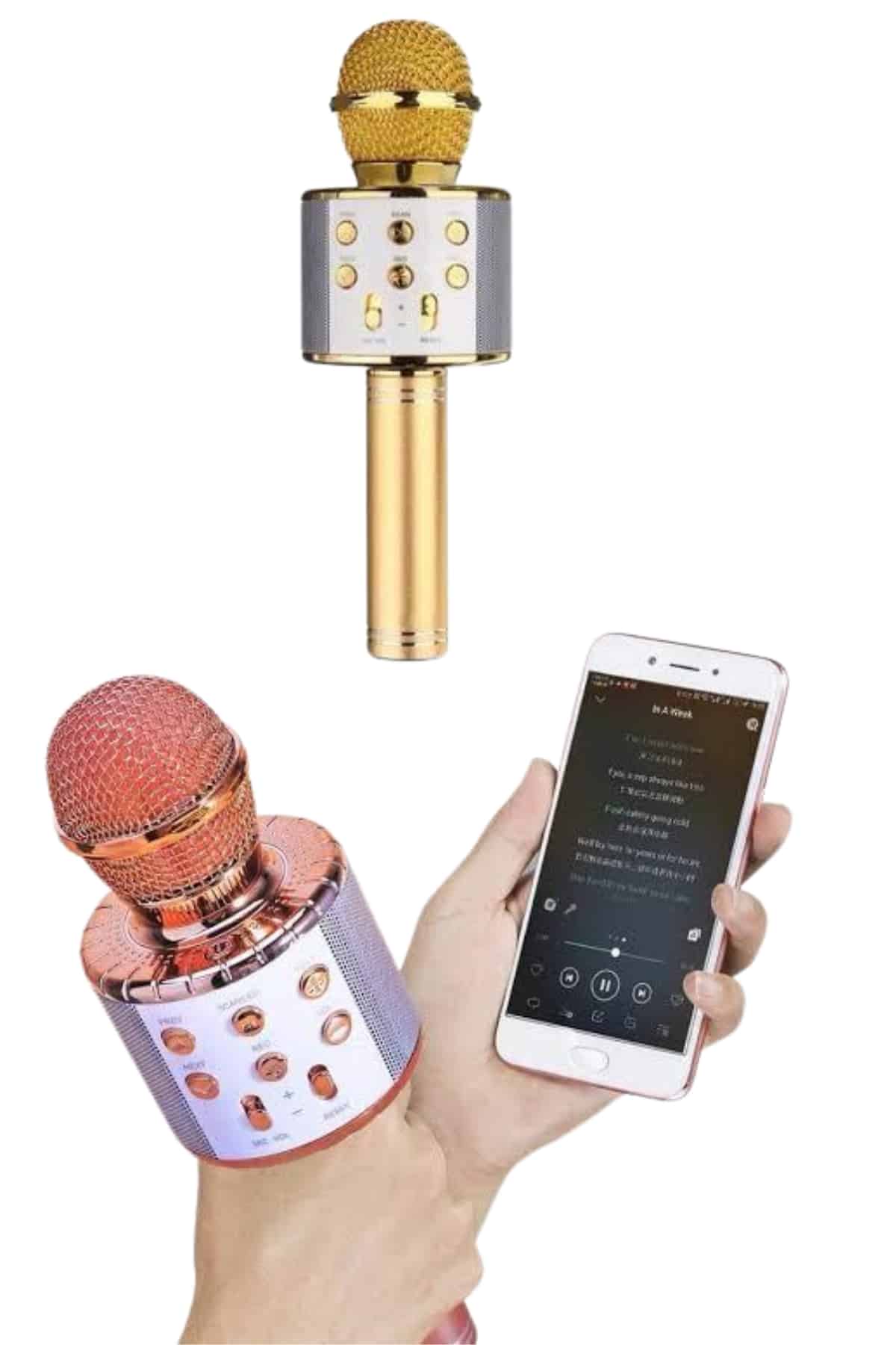Bluetooth Hoparlör USB AUX SD Kart Kaoroke Mikrofon Uzun Pil Ömrü