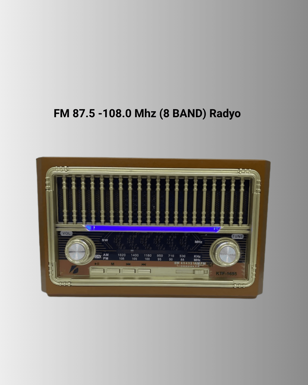 Radyo Destekli Hoparlör