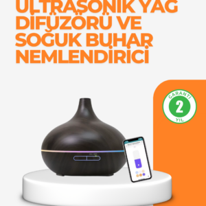 Zaman Ayarlı ve Otomatik Kapanma Özellikli Buhar Makinesi