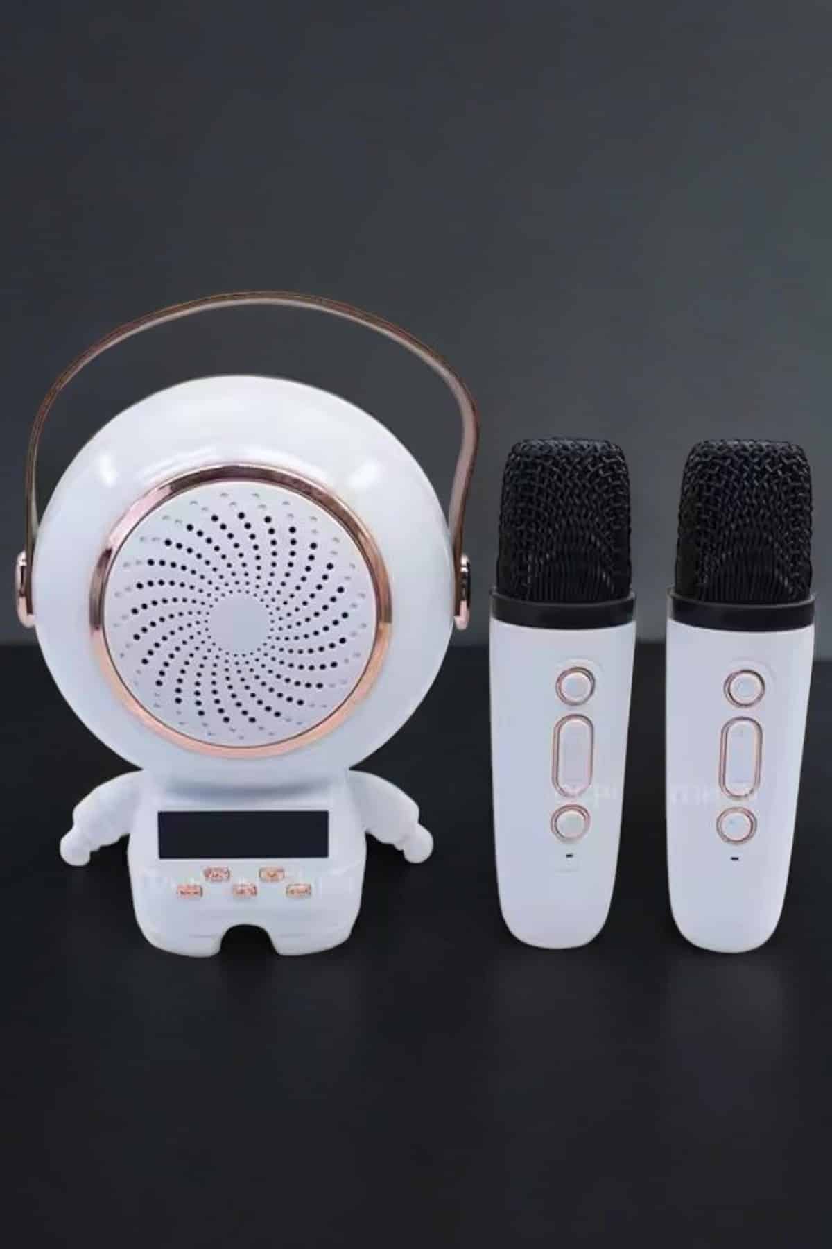 Çift Mikrofonlu Karaoke Mikrofon Bluetooth Bağlantılı Dijital Göstergeli